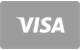 Visa card payment accepted at Scizino Casino